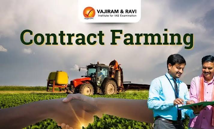 Contract farming crop rows with drip irrigation in India - best contract farming company in Bengaluru